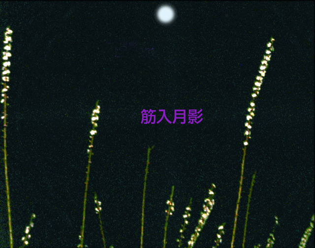 筋入月影.jpg