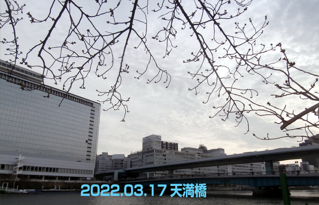 2022.03.17天満橋.jpg